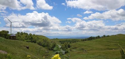 green grass field under blue sky and white clouds during daytime