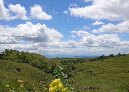 green grass field under blue sky and white clouds during daytime